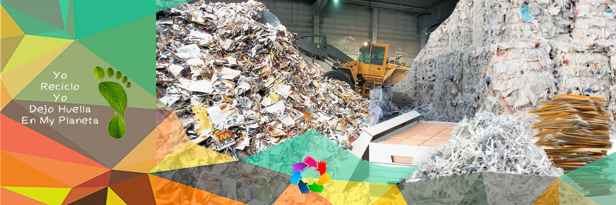Hecho un desastre cascada Días laborables Compra de Papel Reciclado a Domicilio en Bogotá » Puntos de Reciclaje